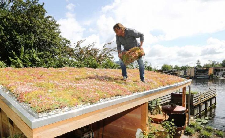 De voordelen van een groen dak!